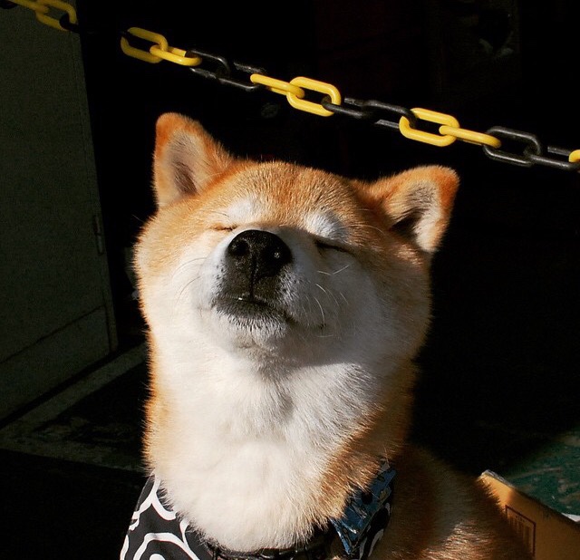 当团队洪流淹没个人火焰，湖人击溃猛龙的胜利方程式，与恩比德数据爆炸的孤独启示