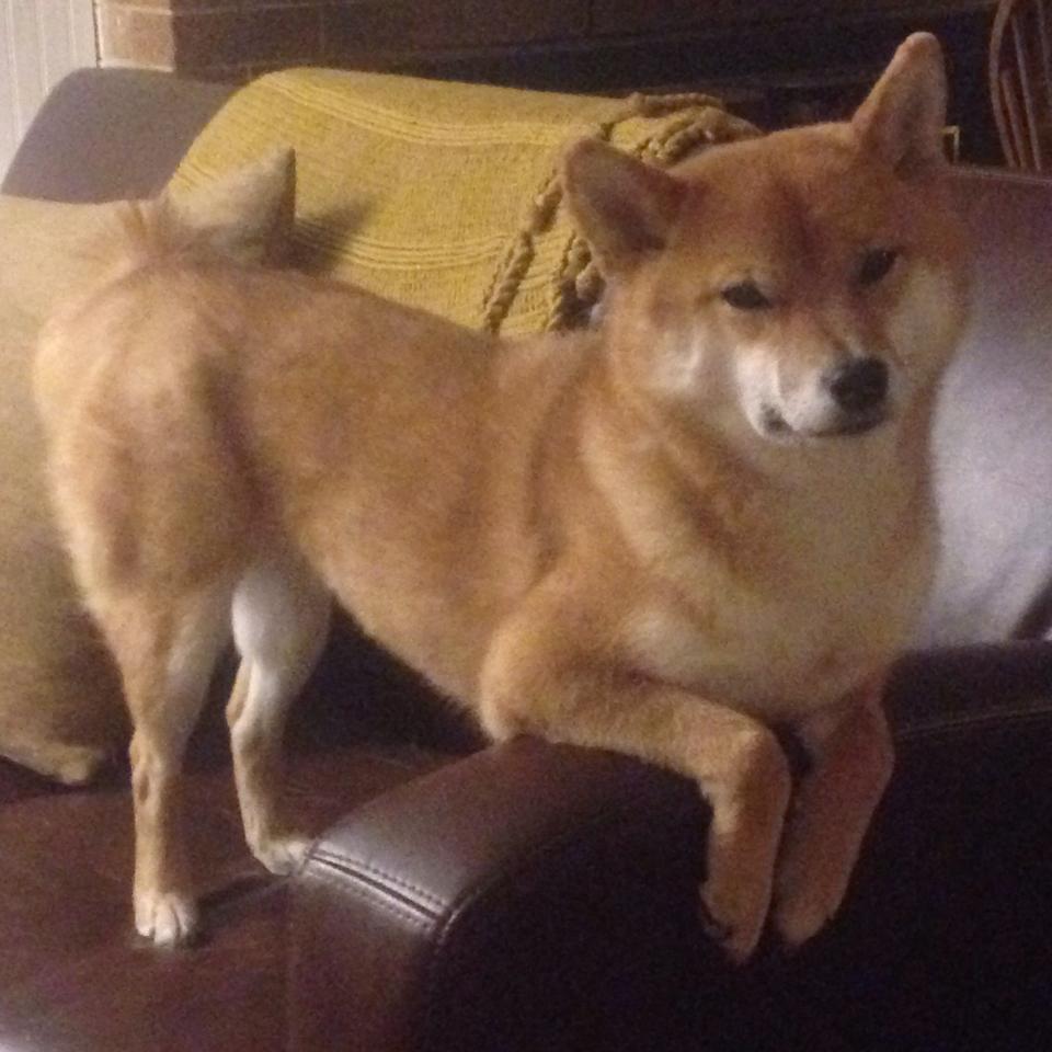 接管之日,尼克斯轻取魔术,乔治统治F1街道赛