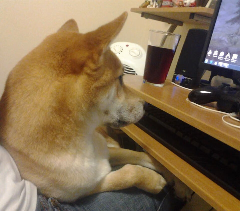 末节惊雷，勇士逆转深圳启示录—哈登如何成为比赛的灵魂变奏家