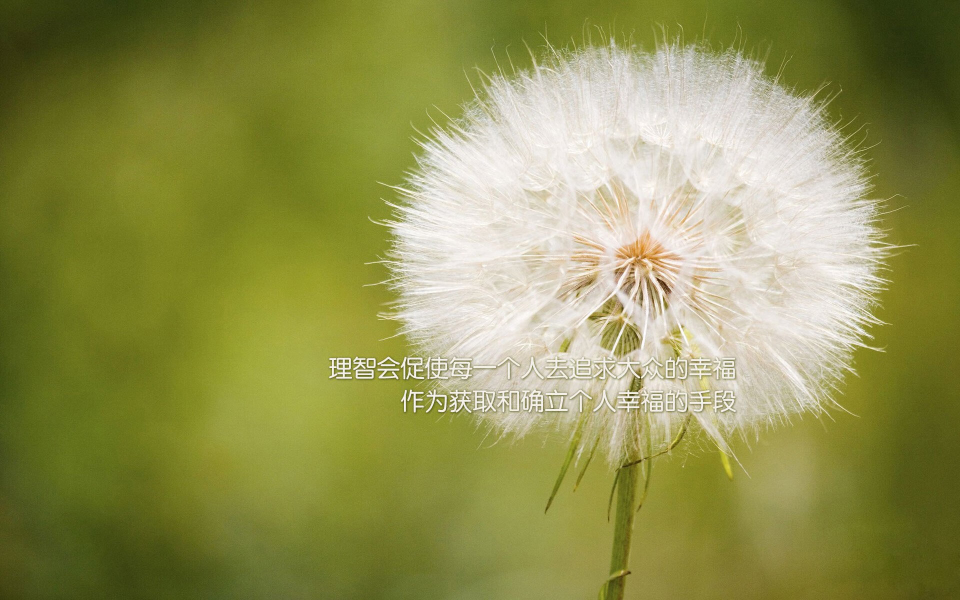 跨界巅峰战，北京首钢血拼华盛顿奇才，火箭旧将杰伦·格林成胜负手