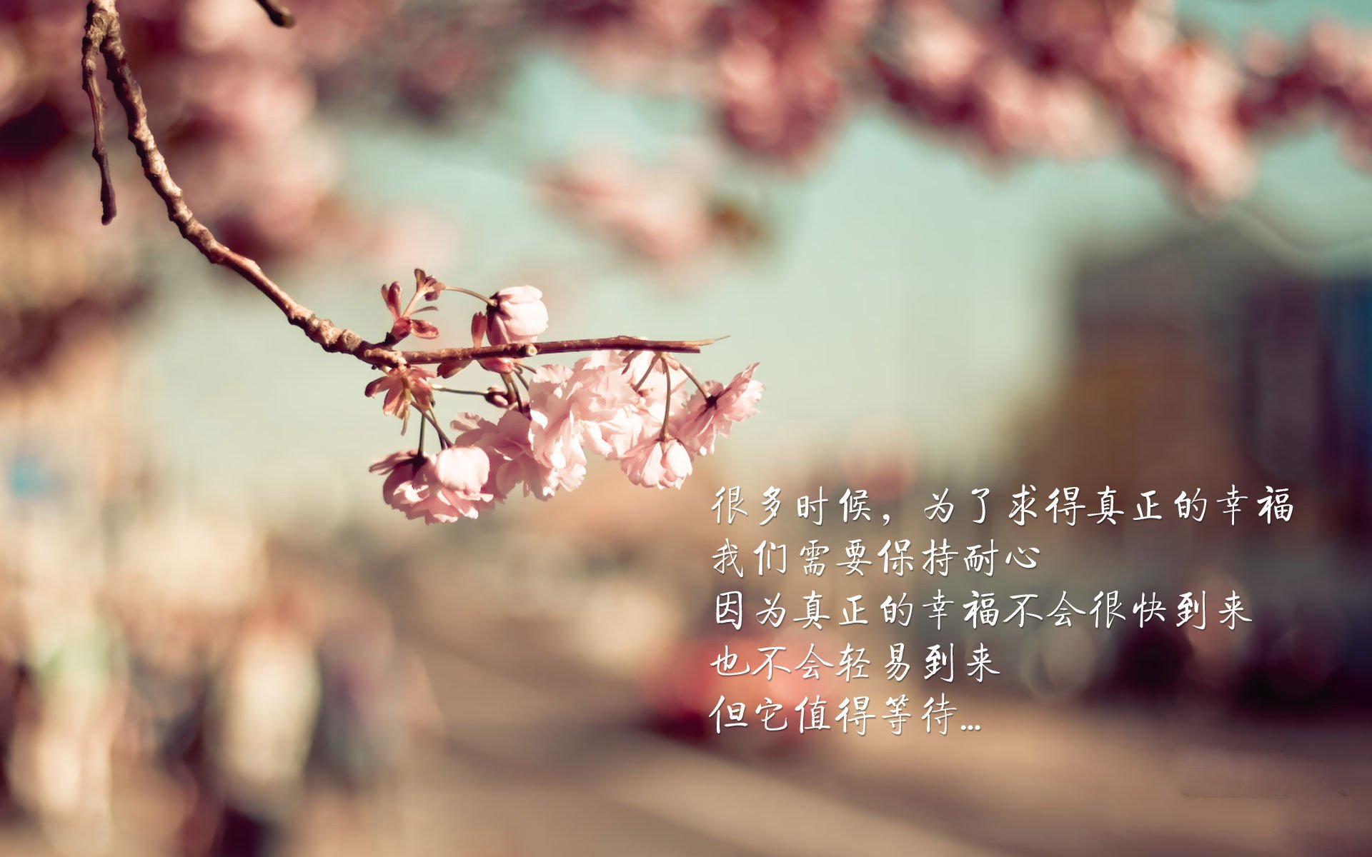 莫兰特降临五棵松,撕裂级表演背后的战术密码