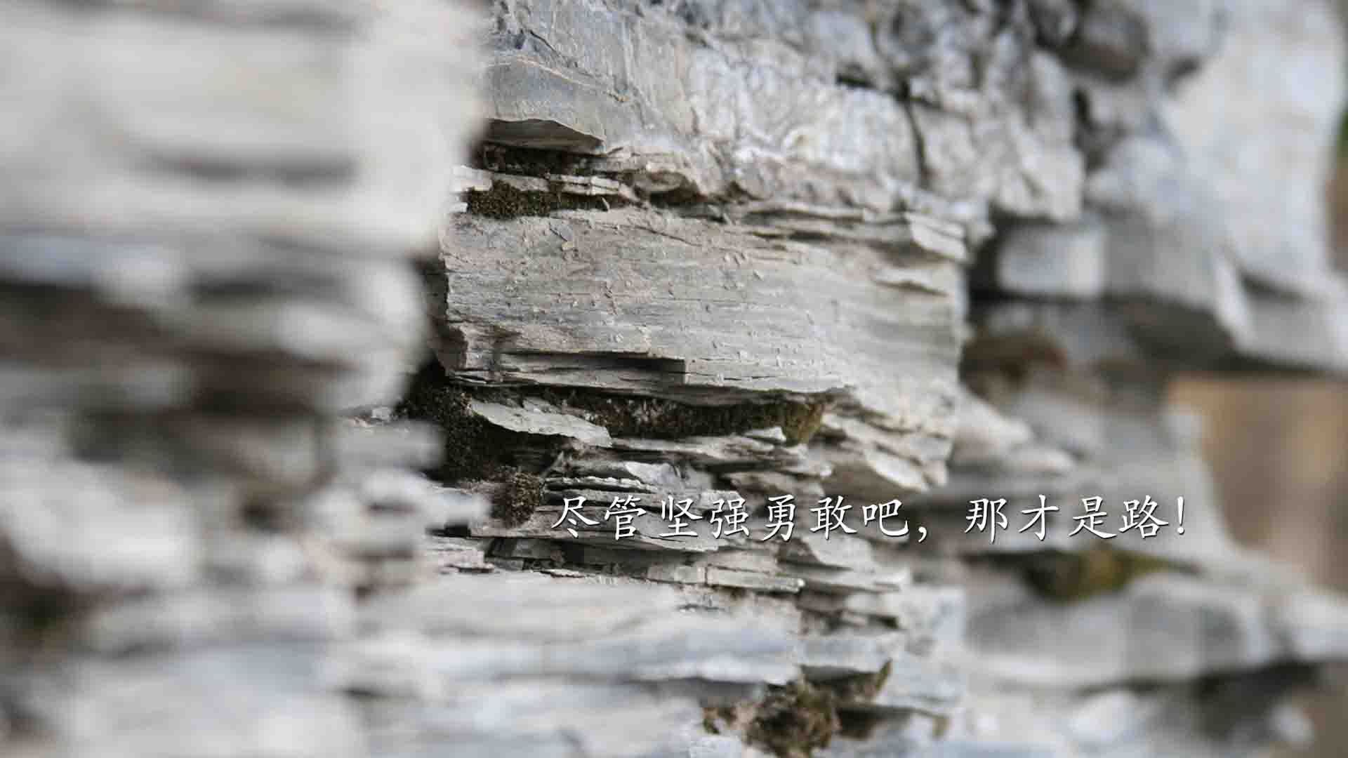 贝蒂斯闪电战提前终结悬念，范迪克关键先生主宰尤文之战