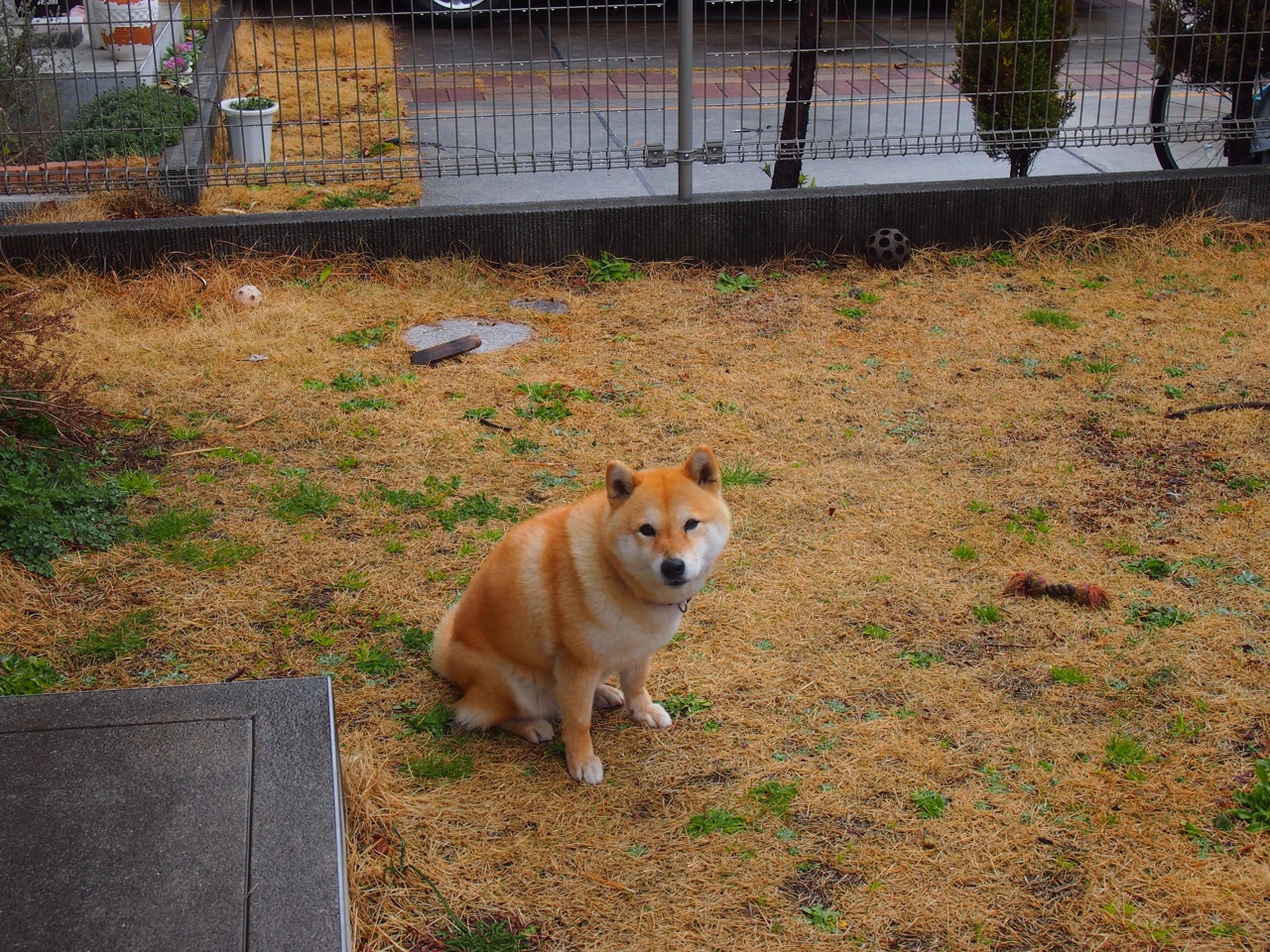 爱游戏入口-巨人手指拨动胜负，文班亚马全程主宰北京击败吉林之战