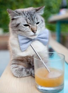 战术棋盘上的新引擎,格纳布里临场变位如何颠覆摩洛哥对阵希腊的战局