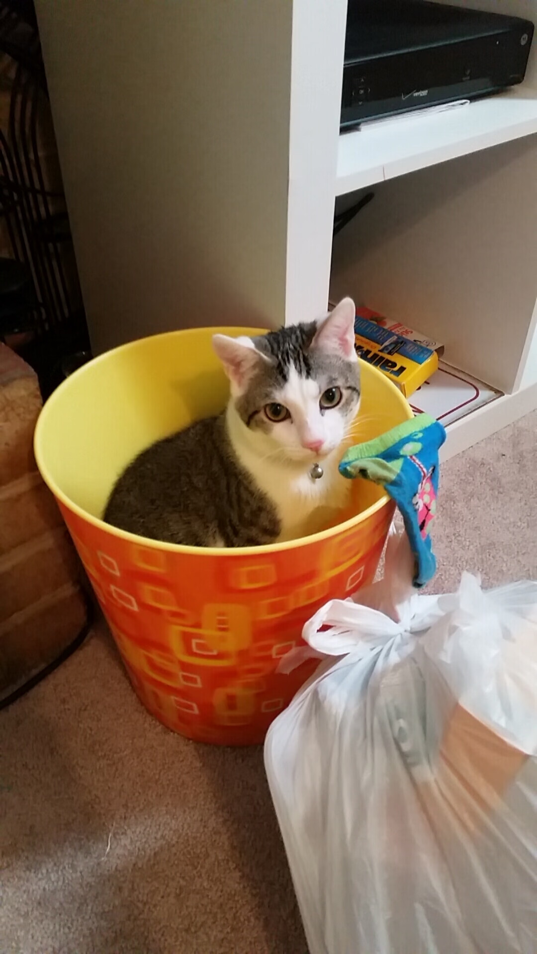 爱游戏官网-永恒瞬间，冰与火的交响，当足球绝杀遇上篮球救赎