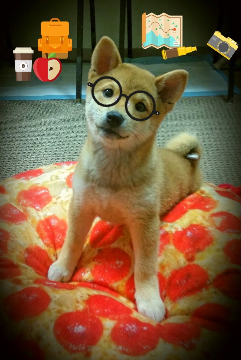 我注意到您提供的关键词涉及两个不同的运动领域。让我为您构思一个能将这两个概念自然融合的文章方案