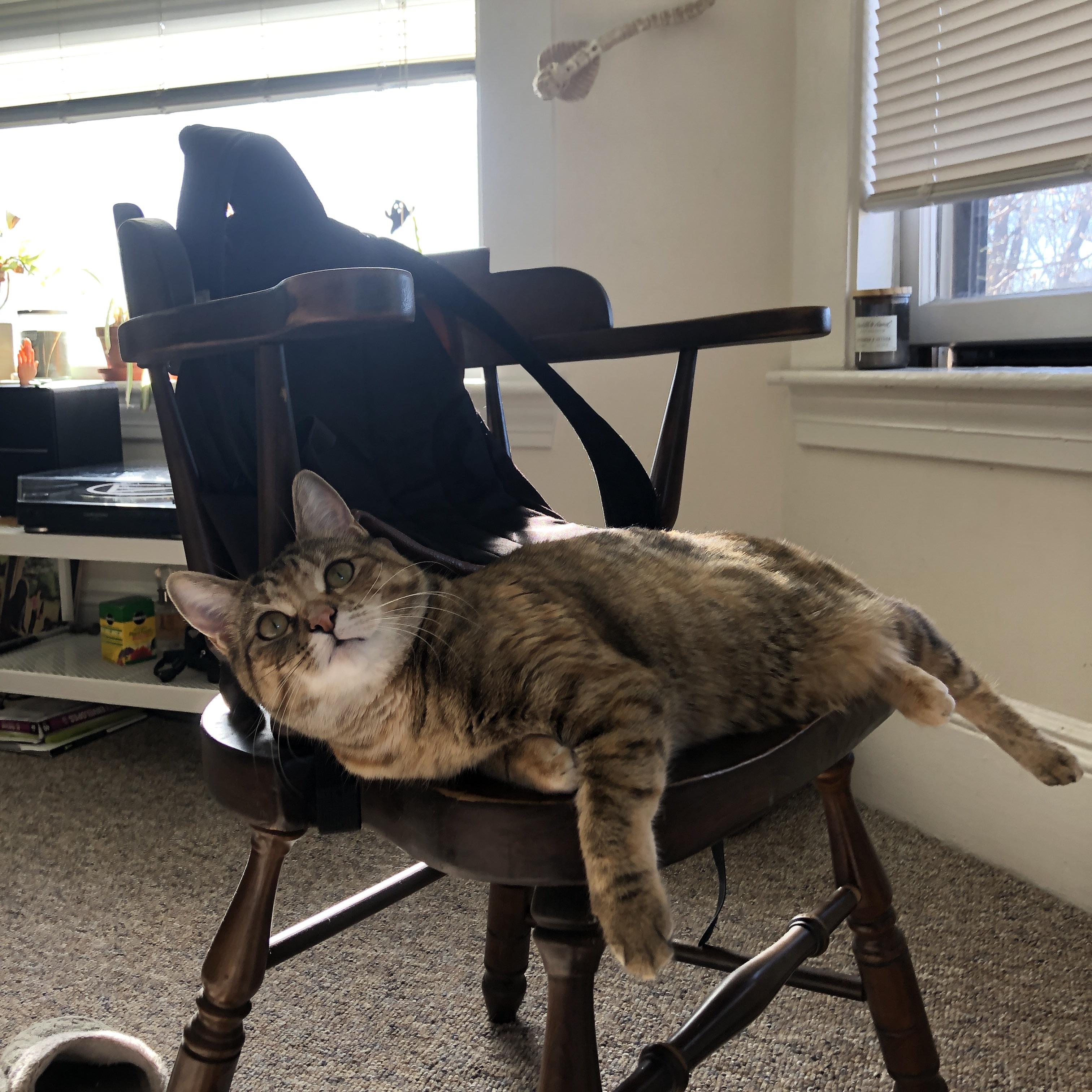 新星破晓，黄昏鏖战，当文班亚马颠覆想象，湖人捍卫最后的骄傲