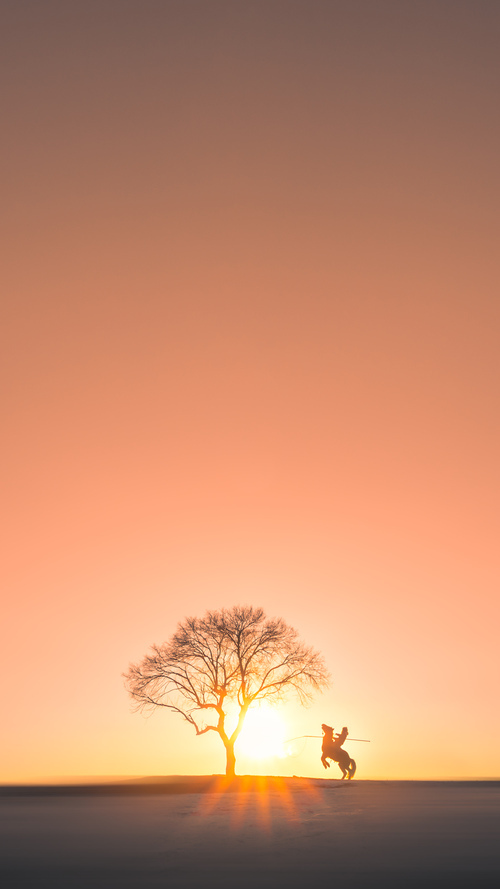 爱游戏APP-西决生死战之夜，字母哥缺席的存在感