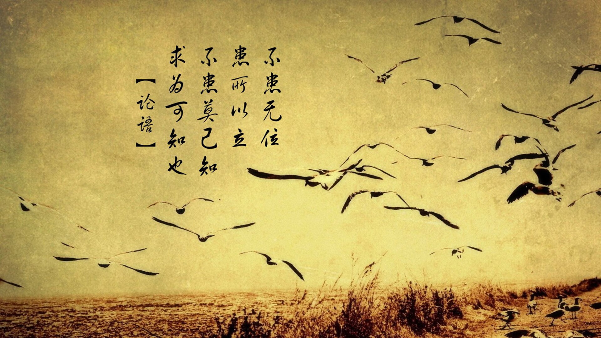爱游戏在线-王者之盾与斗牛士之剑，2026世界杯出线战，库尔图瓦铸就西班牙的控球统治