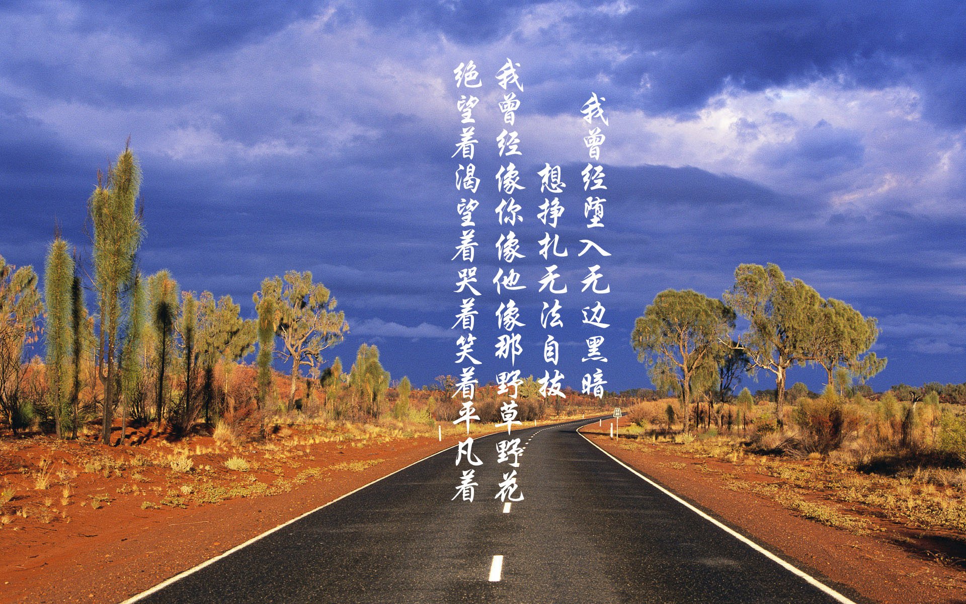 爱游戏官网-里斯本之夜，哈兰德点亮中轴，2026世界杯D组，葡萄牙以绝对控制粉碎罗马尼亚